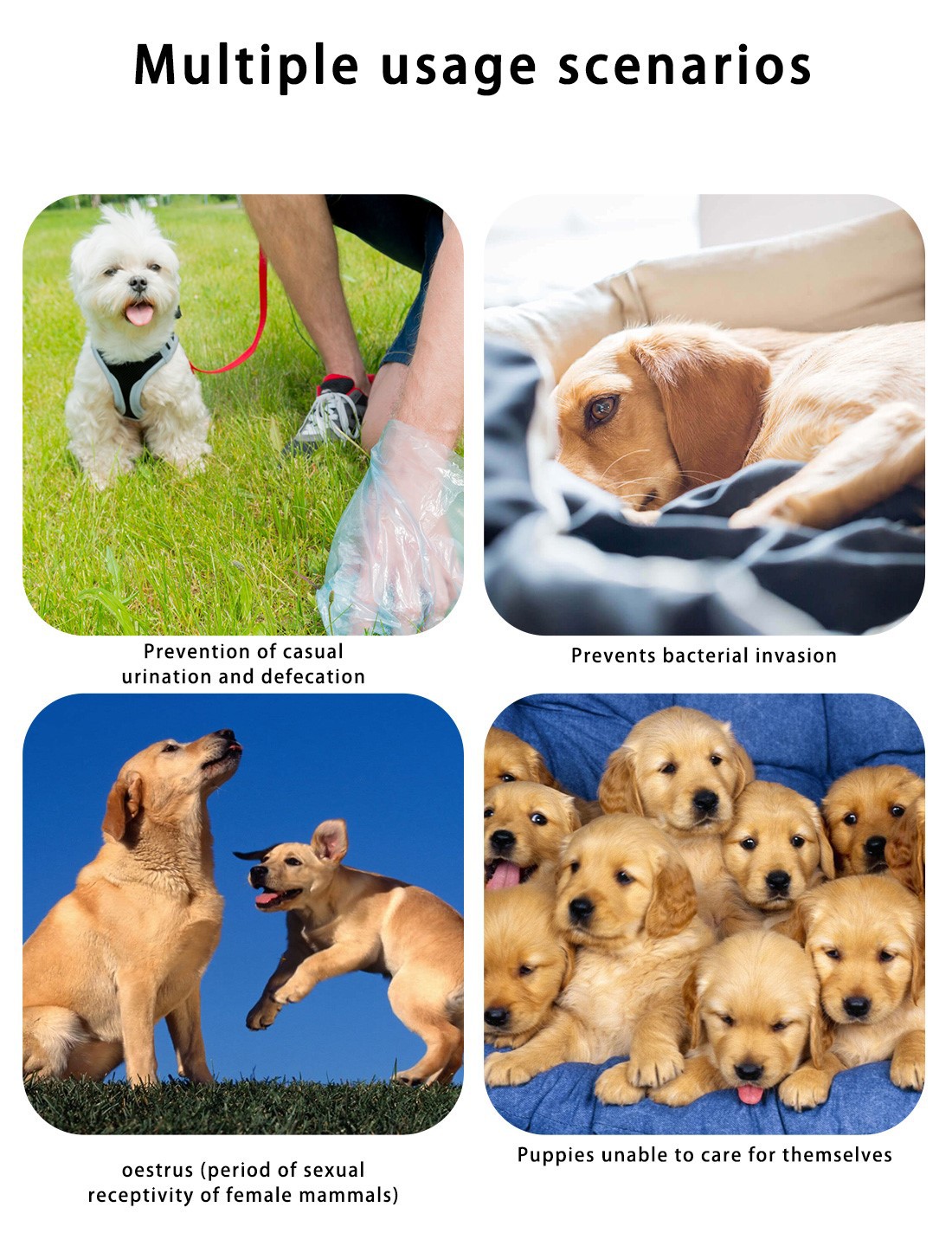 product-1100-1439 product-1100-1439